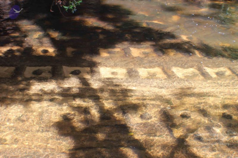 File:20141217 Photo 2030 1VxSoPoLKTUfnRcBddTVtuAzUyNtKrhLr.JPG