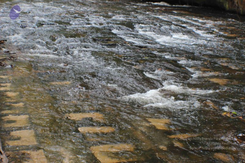 File:20141217 Photo 2035 1BE2KtlgPzlaHZlQMC-85uIsfl64-1px7.JPG