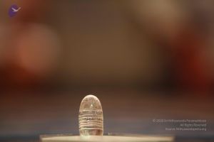 20141227 Photo 1167 1Fun2U8o2oTraMwEh5EENnYvPMYXuOQGP.JPG