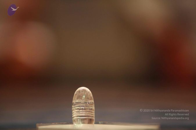 20141227 Photo 1167 1Fun2U8o2oTraMwEh5EENnYvPMYXuOQGP.JPG