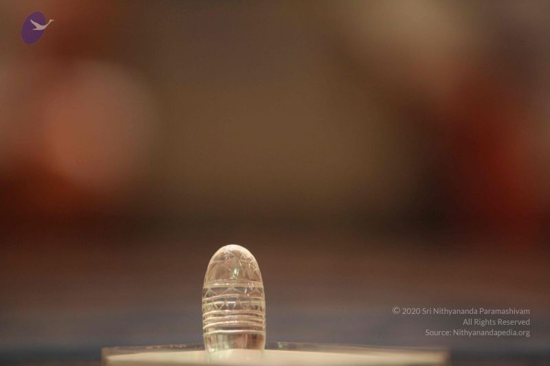 File:20141227 Photo 1167 1Fun2U8o2oTraMwEh5EENnYvPMYXuOQGP.JPG