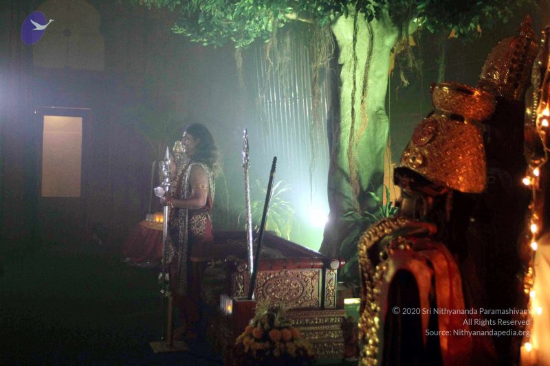 File:20141230IMG 0453 CMP WM010002.jpg