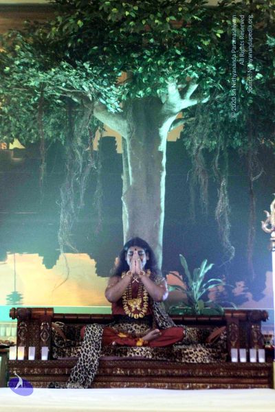 File:20141230IMG 0558 CMP WM010002.jpg