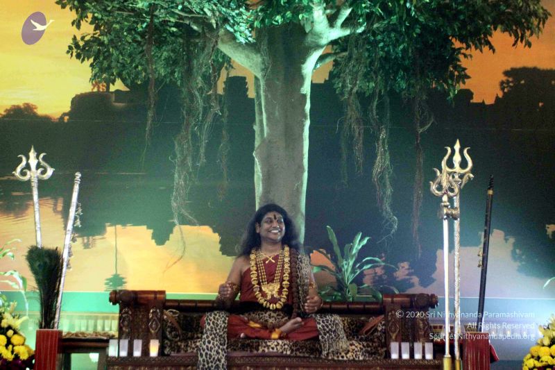 File:20141230IMG 0569 CMP WM010002.jpg