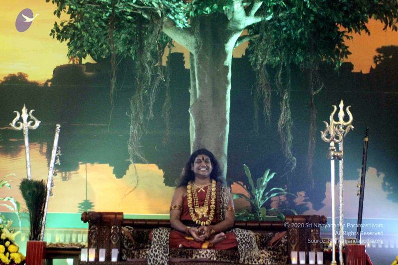 File:20141230IMG 0571 CMP WM010002.jpg