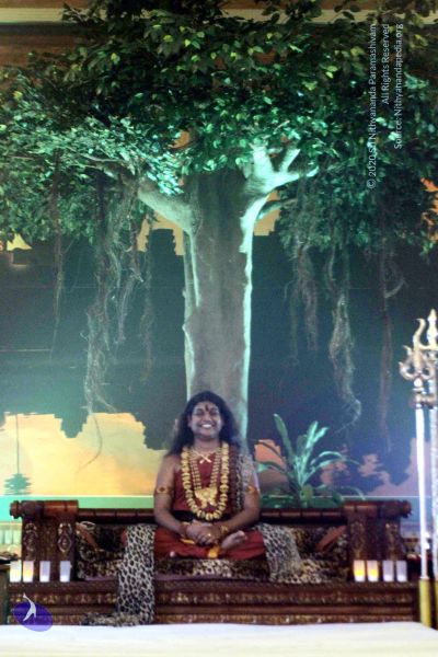 File:20141230IMG 0573 CMP WM010002.jpg