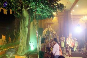 20141230IMG 0578 CMP WM010002.jpg