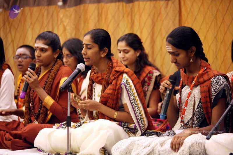 File:20141230IMG 1583 CMP WM010002.jpg