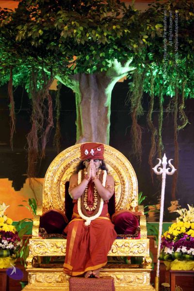 File:20141230IMG 1636 CMP WM010002.jpg