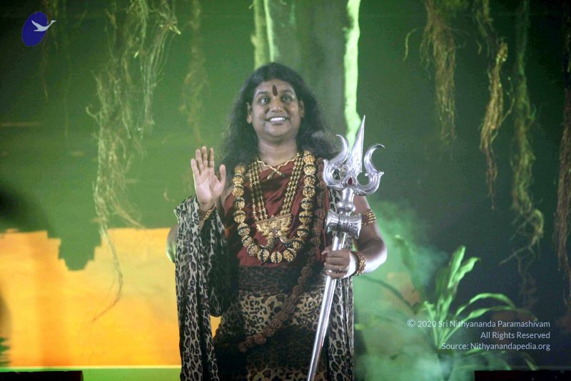 File:20141230IMG 1745 CMP WM010002.jpg