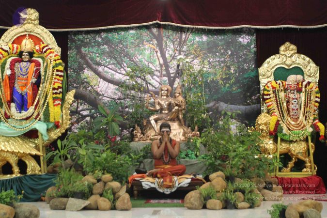 20150107 3420 Compressed WM.jpg