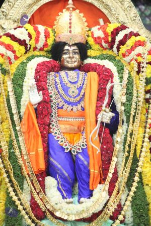 20150107 more 3374 Compressed WM.jpg