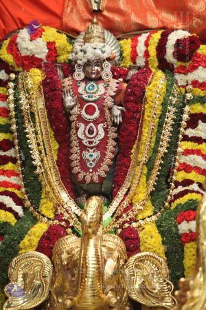 20150107 more 3377 Compressed WM.jpg