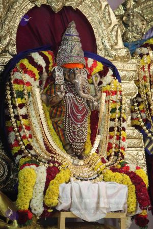 20150107 more 3384 Compressed WM.jpg