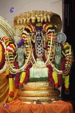 20150107 more 3392 Compressed WM.jpg