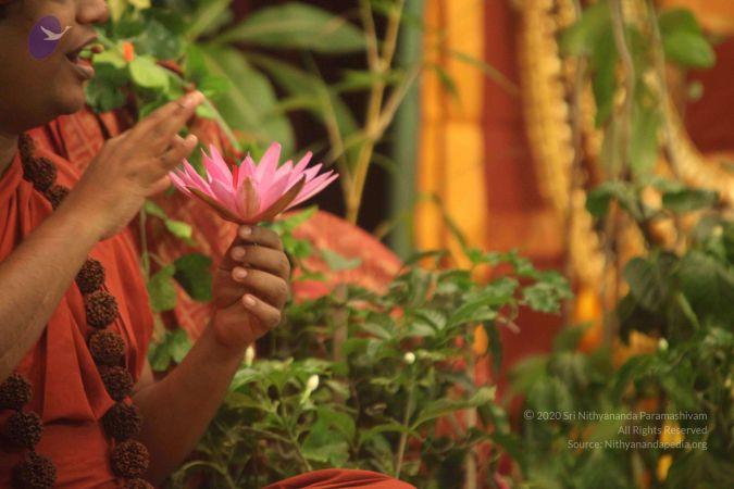 20150129 Photo 1120 1VWrqwTBaLYA5ELKKQ8ZJz-YoiGSbmY73.jpg