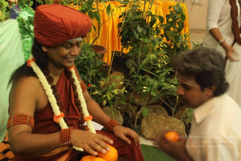 File:20150130 Photo 105 1LqRHmf3gAO0xPL1elZHDRghmgUE8zXDz.jpg