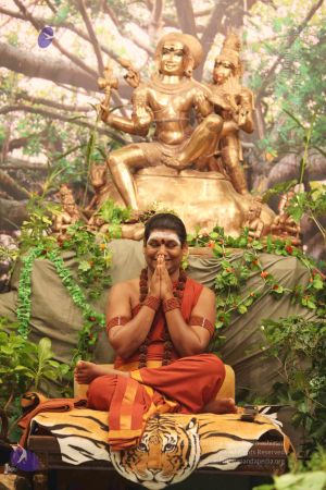 20150201 Photo 3273 Compressed WM.jpg