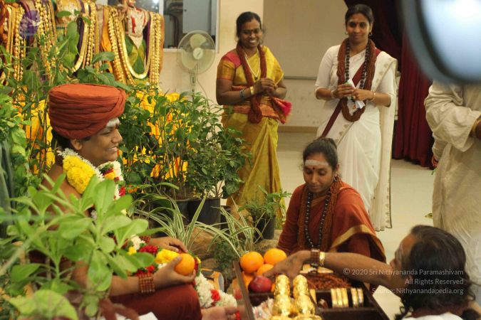 20150208 Photo 5309 Compressed WM.jpg