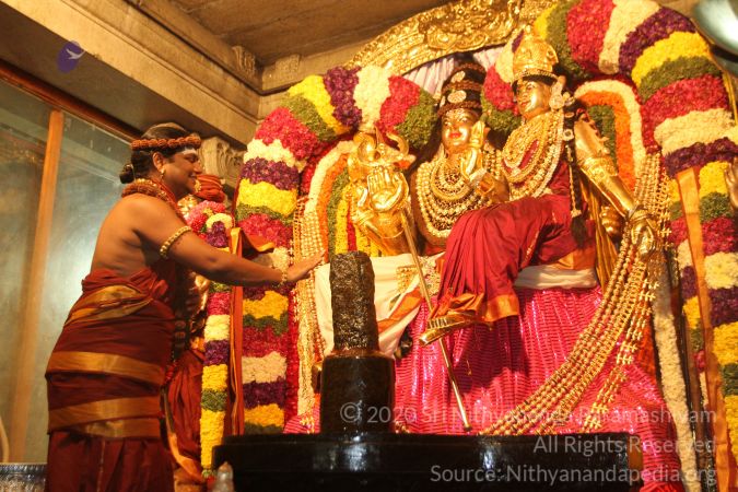 20150219 Photo 1296 14SMGNDrwa5QdDJfTwpe6gnJhsVb4vXhj.JPG