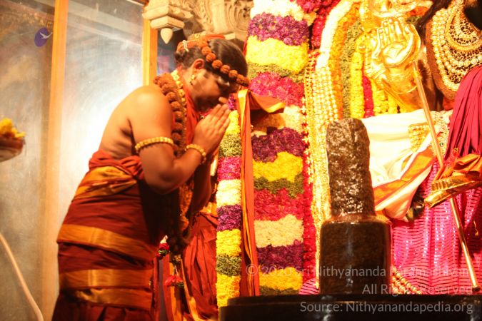 20150219 Photo 2771 1Owh9JUuwFZbnpEf1A8MbYpO1wX4xkj9B.JPG