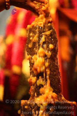 20150219 Photo 2868 1jhfh2vh2Ret7VbPUerC02TIWaVbh2ZvN.JPG