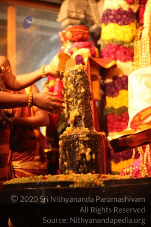 20150219 Photo 2870 1YwQhqsUaJ-Ejd0lzs8EnmmzGepKoIx6A.JPG