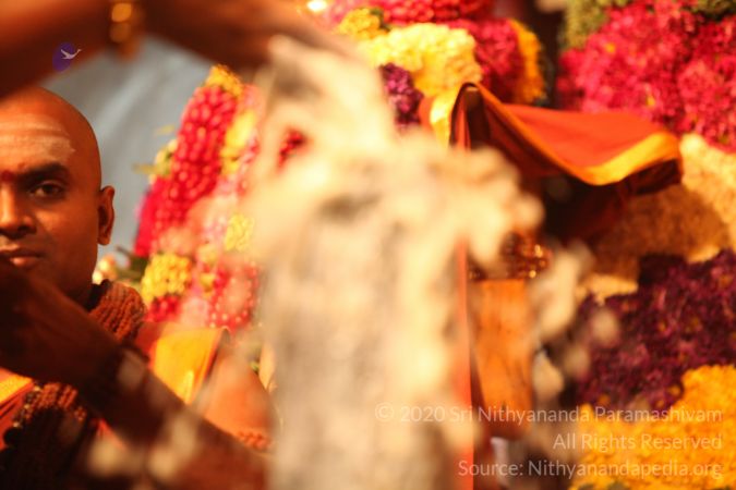 20150219 Photo 2879 1JskCYR6R8dRqWjMEVqLIK0bdWG5GJXbK.JPG