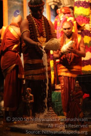 20150219 Photo 2894 1mQ5RhcXcCdqm6BSkQGSHoum6J56jeWAI.JPG