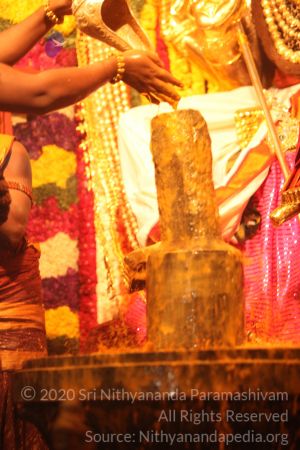 20150219 Photo 3027 1-RAqZD9fBebDdEvz4SVbkLpqgjs7Vnzi.JPG