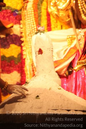 20150219 Photo 3098 1D0VkIrrRJukK-dS4p5eQndgHelBH0k0M.JPG