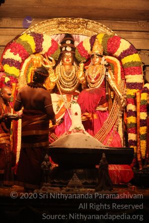 20150219 Photo 3123 1a3L4CHHiGuMjVHFB3LKIhrD4qPL0IHrT.JPG