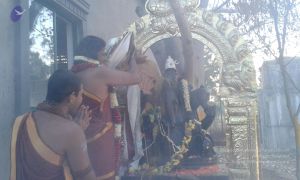 20150316 Photo 1025 1pWPkt9Knb7V0H8P4XlYHMkH3Ciz9peLI.JPG