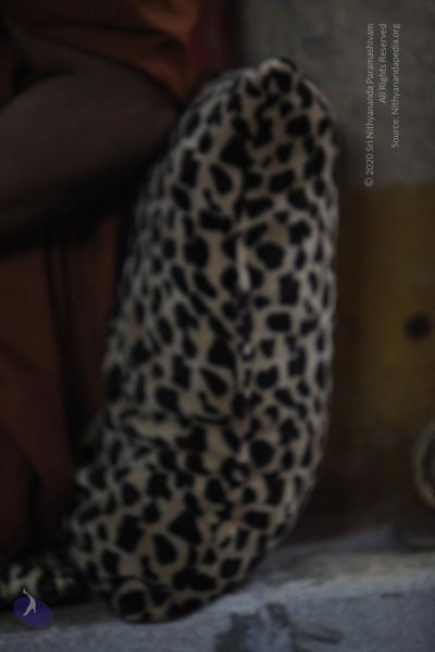 File:20150408 Photo 1006 1DpRPW89-8Vwet2lz1KMh5v04VgIV01d2.JPG