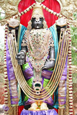 20150421 1044 CMP WM.jpg