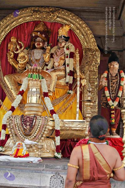 File:20150421 1097 CMP WM.jpg