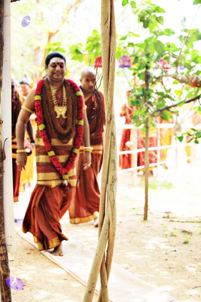 File:20150421 1099 CMP WM.jpg