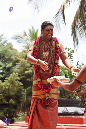 20150421 1124 CMP WM.jpg