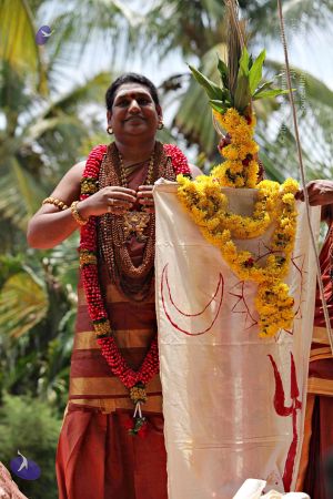 20150421 1136 CMP WM.jpg