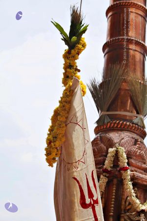 20150421 1137 CMP WM.jpg