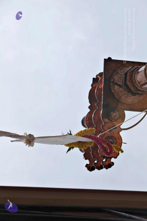 20150421 1143 CMP WM.jpg