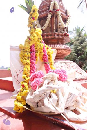 20150421 more 1109 CMP WM.jpg