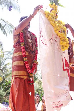 20150421 more 1129 CMP WM.jpg