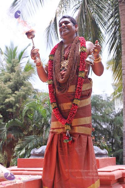 File:20150421 more 1196 CMP WM.jpg