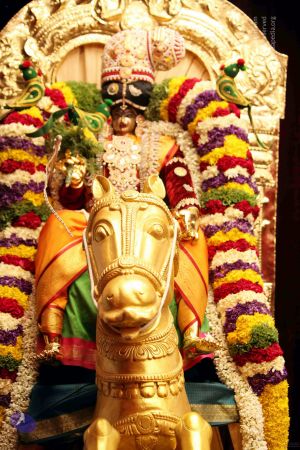 20150425IMG 2809 CMP WM00100.jpg