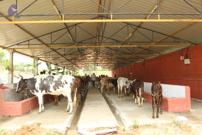 20150428 Photo 1238 19zD-0mNewHFS8g42FSV3KyZeRO4rr3A5.JPG