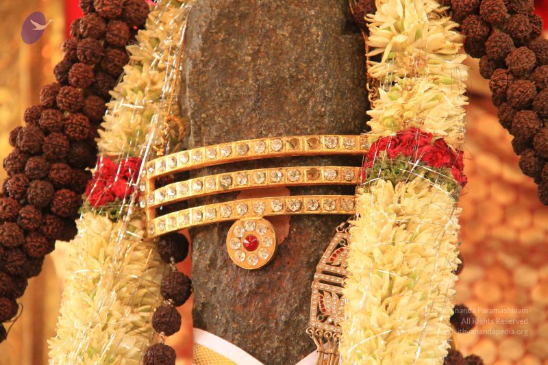 File:20150505 Photo 1009 1dS3ZkTV8sTEPP bRWZEyiwHo0szNnDA .JPG