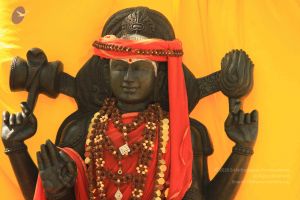 20150505 Photo 1013 1lDJ6d8gATHFKuiYFdcnL4w4i4L1mNDUB.JPG