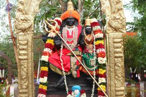 20150505 Photo 1017 180eo8gIbrOmg2uzYd5pailVwILXBFqwZ.JPG