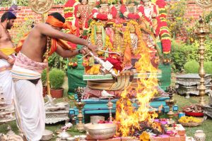 20150505 Photo 1018 1QOMU7hgpi76oST8lGjw3w-MHykd0WJOD.JPG